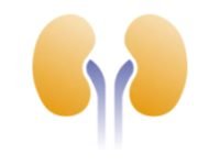 Boost your business with (22) (1)